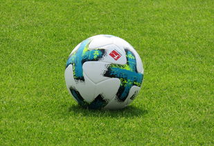 乐鱼体育在线登陆-德甲防守战术转变对定位球防守效果的影响分析，德国足球防守大师