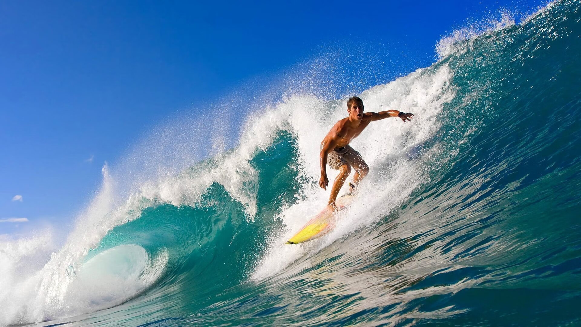 乐鱼体育下载-“重拳出击！四川省体育馆拳击赛场风云再起”